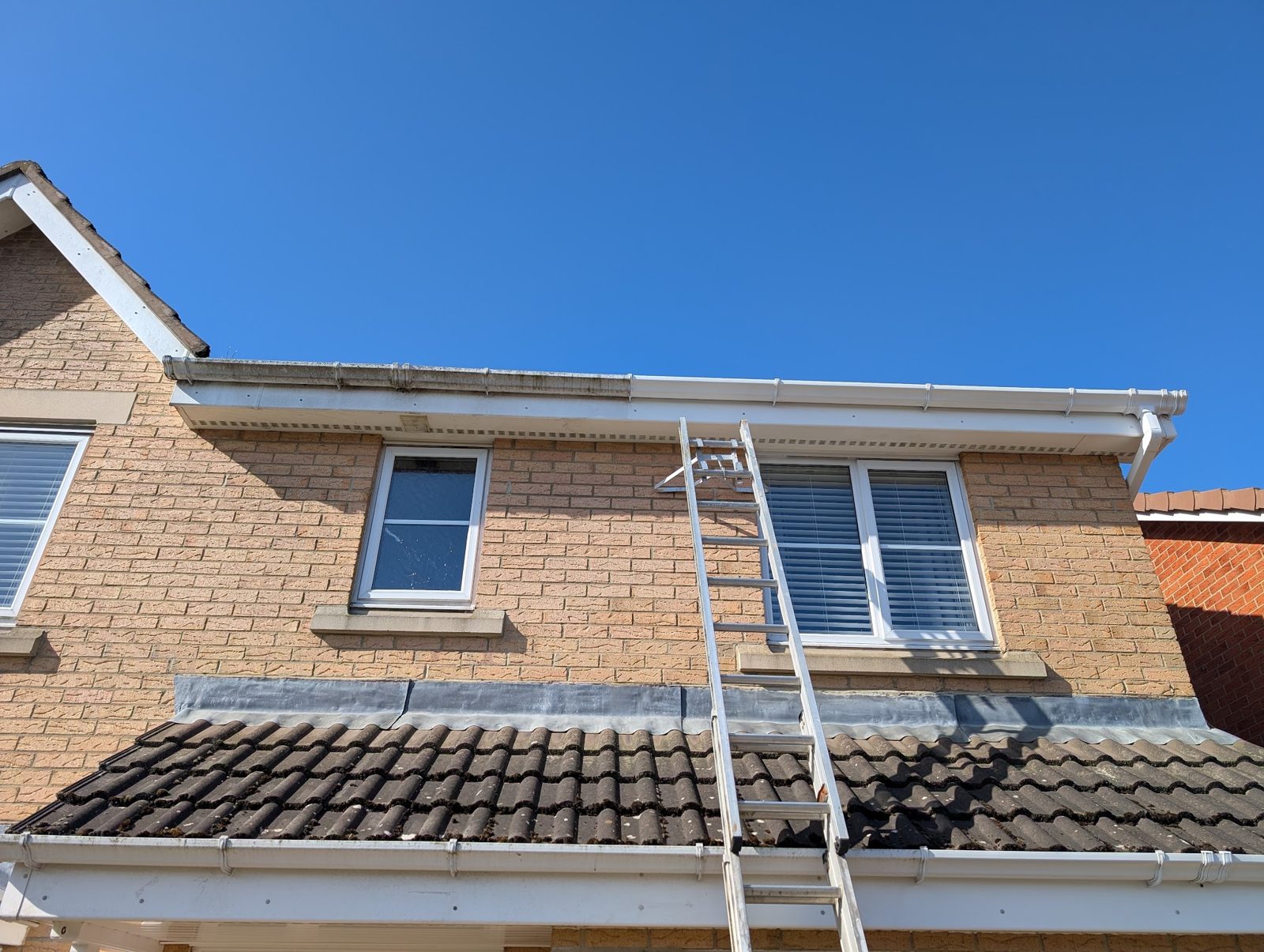 A ladder up to the guttering and fascias of a brick house